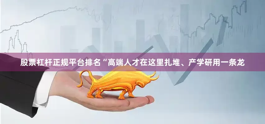 股票杠杆正规平台排名“高端人才在这里扎堆、产学研用一条龙