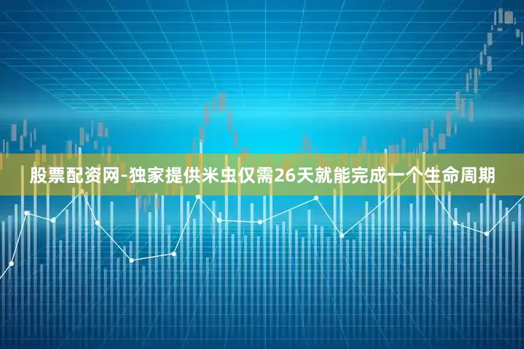 股票配资网-独家提供米虫仅需26天就能完成一个生命周期
