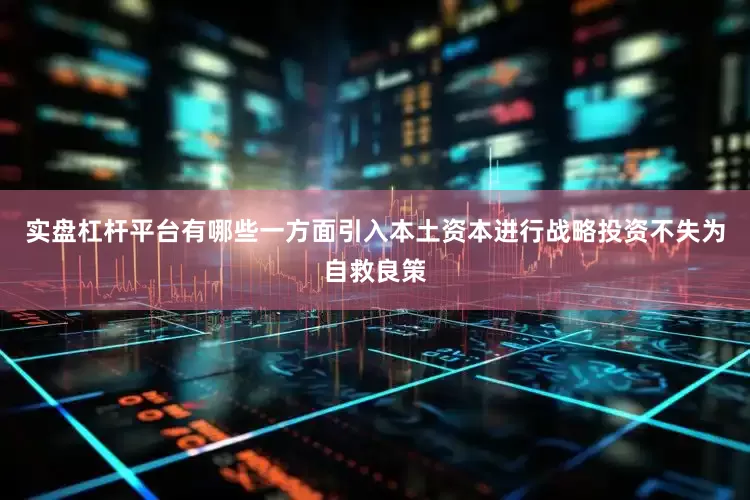 实盘杠杆平台有哪些一方面引入本土资本进行战略投资不失为自救良策