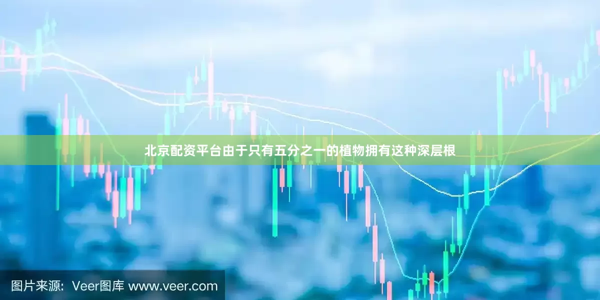北京配资平台由于只有五分之一的植物拥有这种深层根
