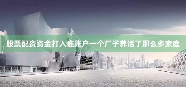 股票配资资金打入谁账户一个厂子养活了那么多家庭