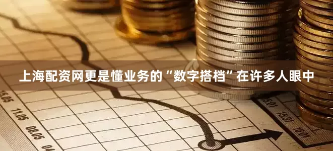上海配资网更是懂业务的“数字搭档”在许多人眼中