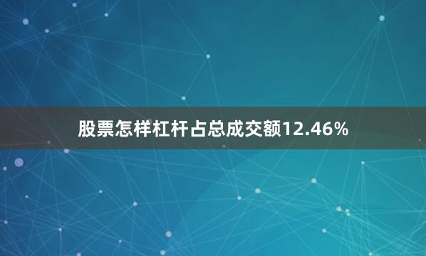股票怎样杠杆占总成交额12.46%