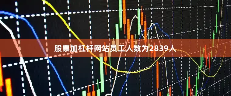 股票加杠杆网站员工人数为2839人