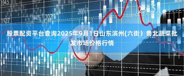 股票配资平台查询2025年9月1日山东滨州(六街）鲁北蔬菜批发市场价格行情